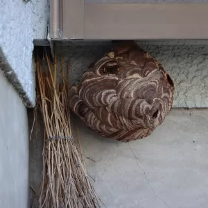 奈良市の雨漏り修理のサムネイル