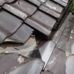 雨の止み間に点検できましたのサムネイル