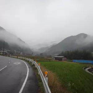 １日雨でした。のサムネイル