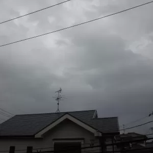 台風上陸のサムネイル