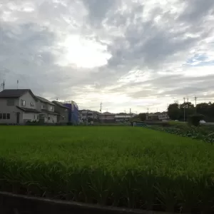 これだけ強い雨が降ると・・・のサムネイル