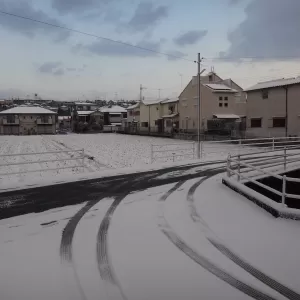 朝いつも通りに玄関を開けると・・・のサムネイル