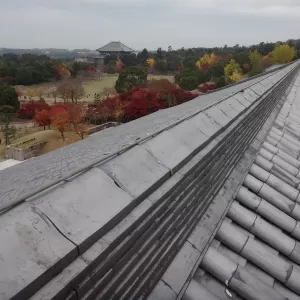 奈良公園で紅葉狩りのサムネイル