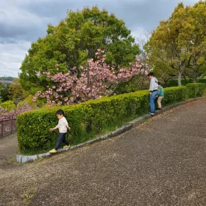 近所の公園へ散歩のサムネイル